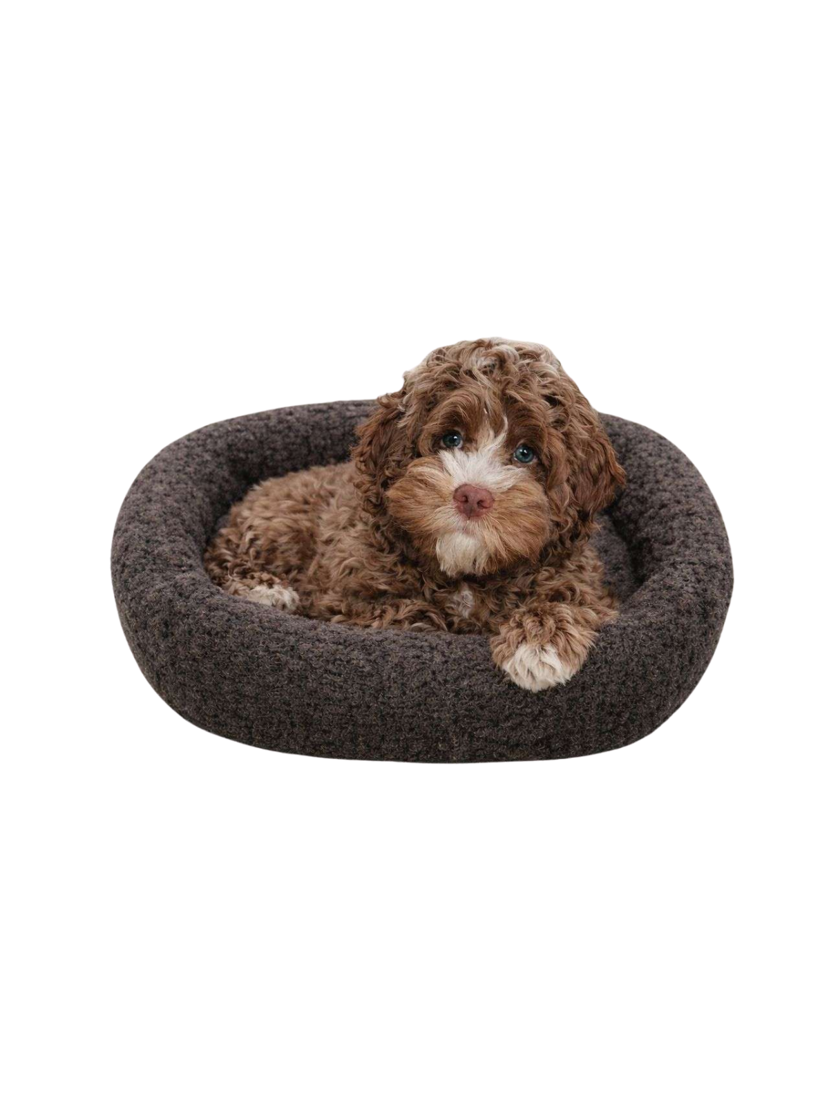Merino Wool Pet Bed – Doppio