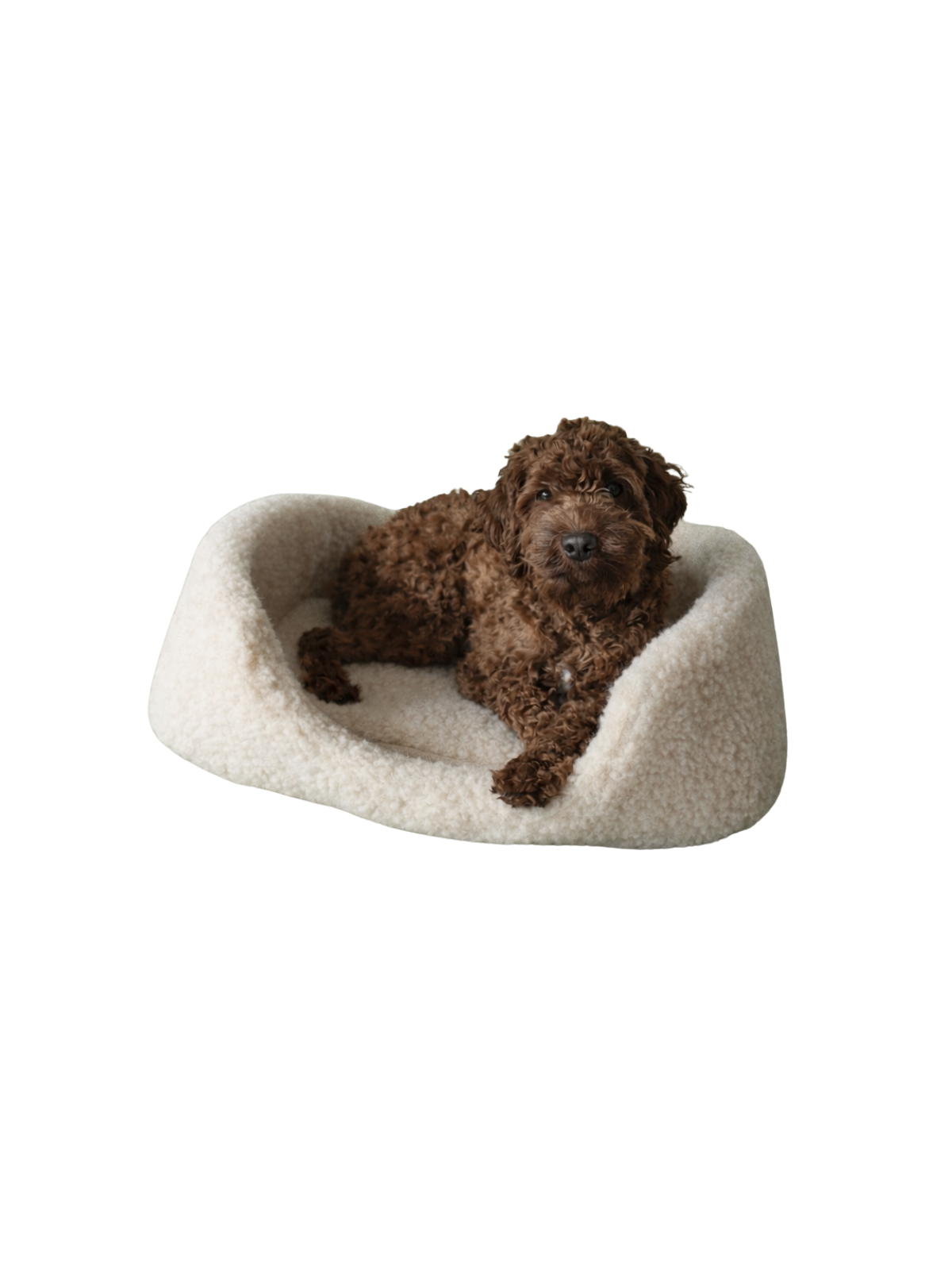 Merino Wool Pet Bed – Latte