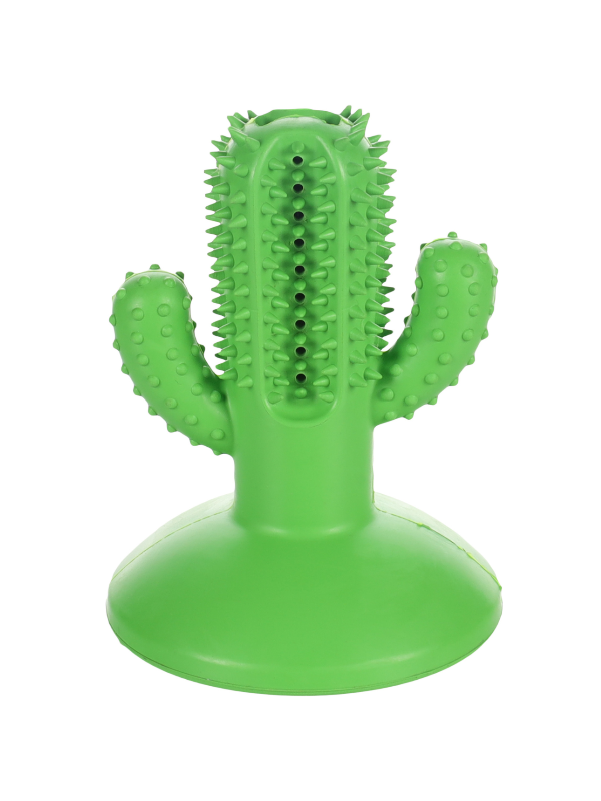 Cactus Dental Dog Toy