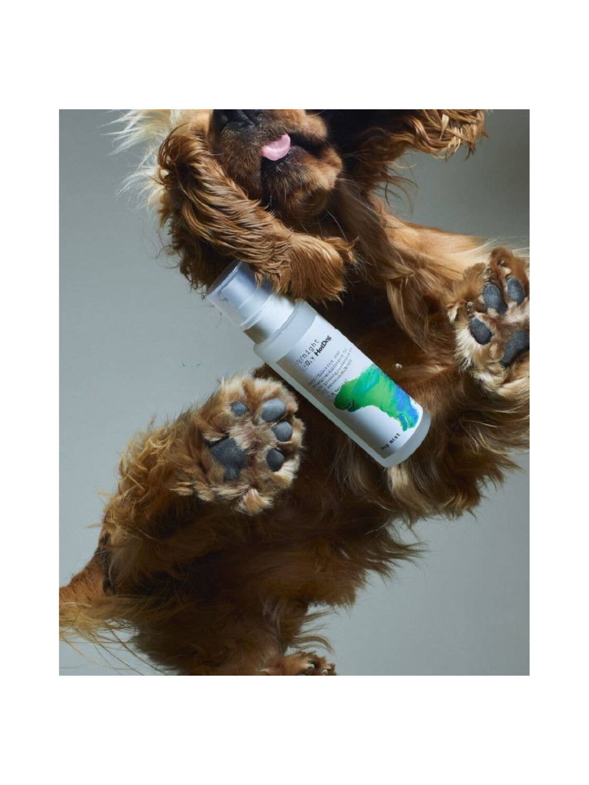 Dog Mist – Mid/night 00.00