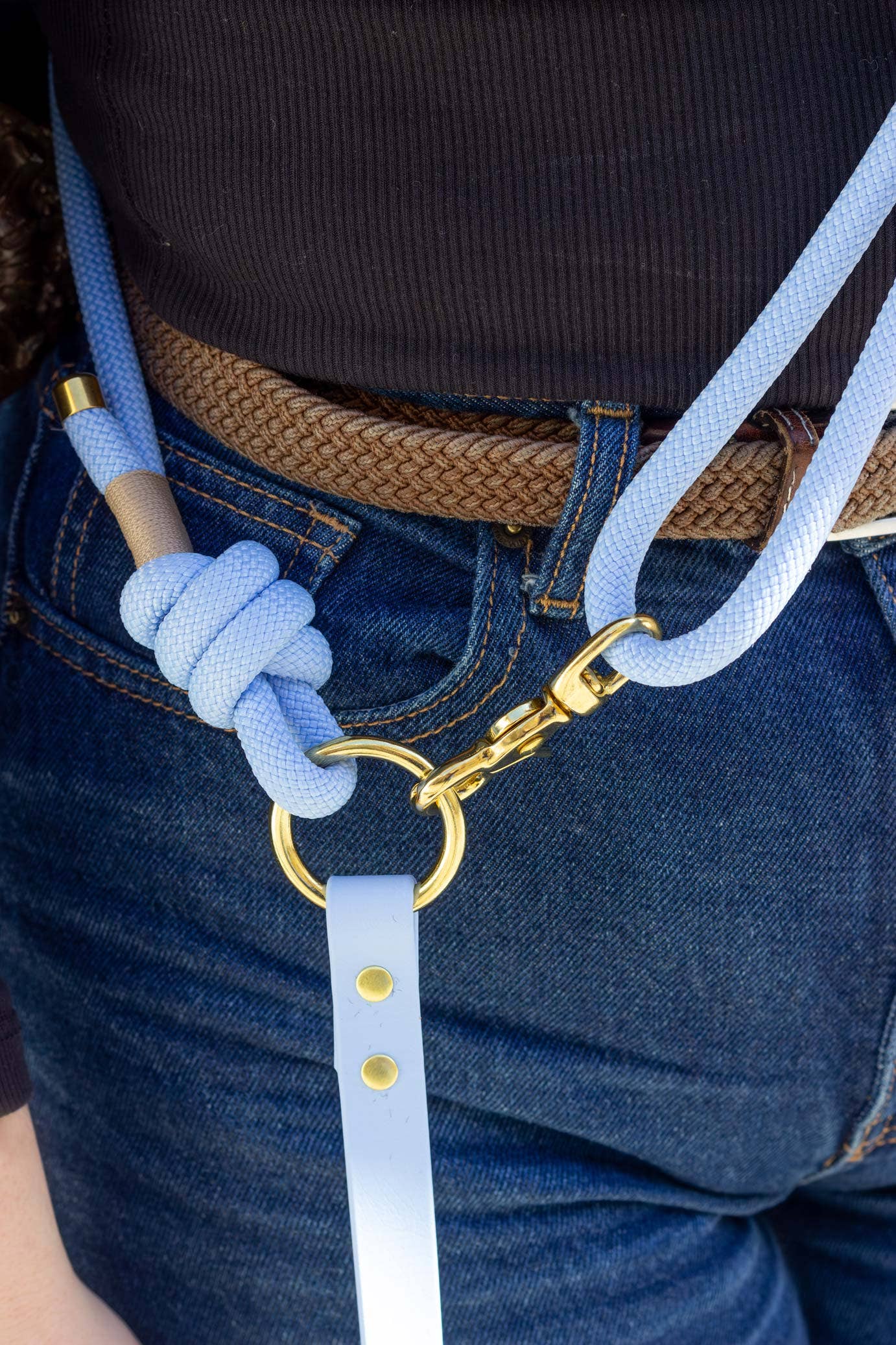 Polar Blue Hands-Free Rope × Biothane Leash – Silver Hardware