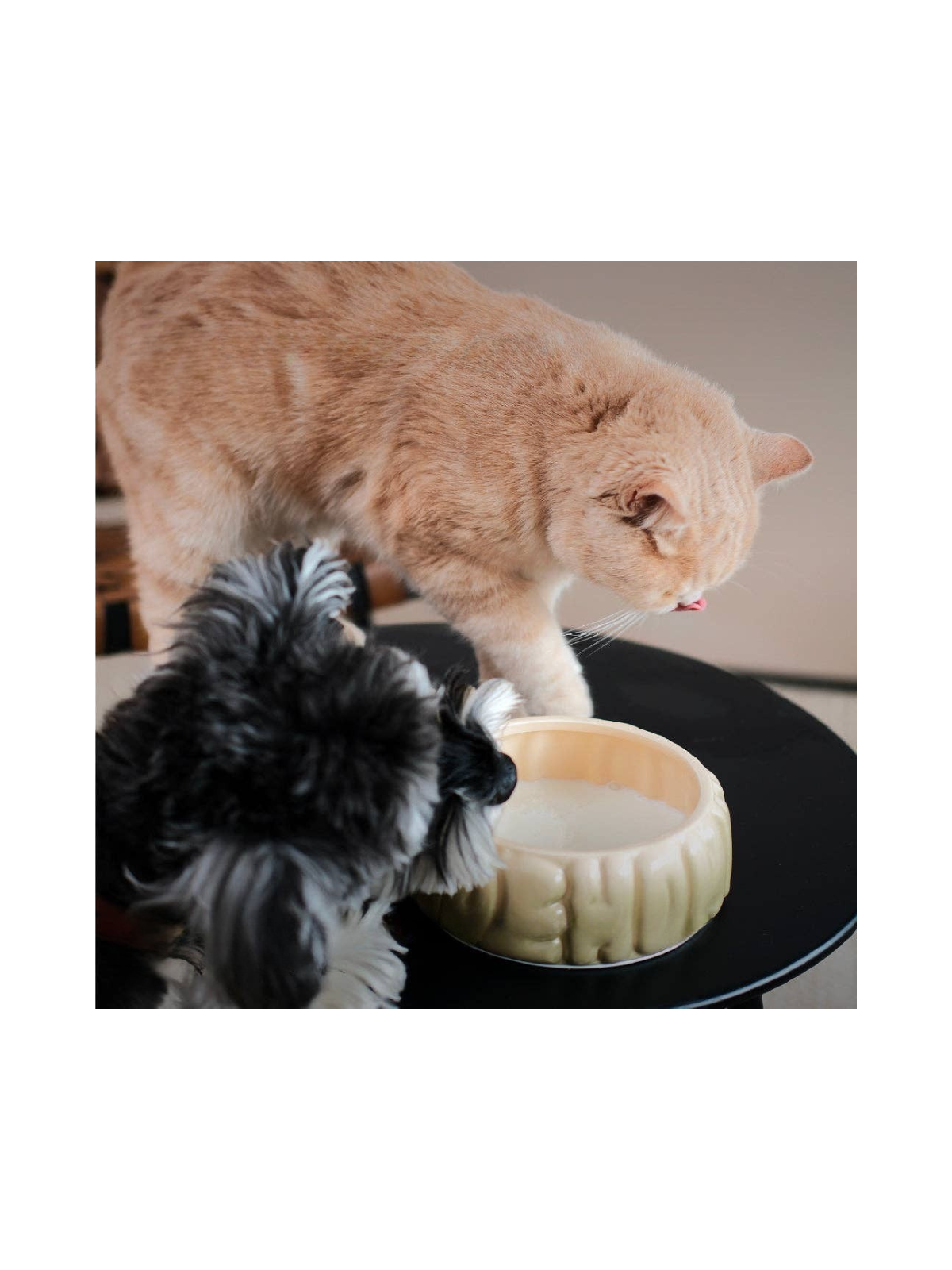 Puff Pet Bowl - Gradient Olive