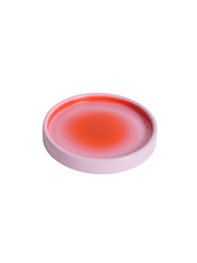 Gradient Food Plate – Pink