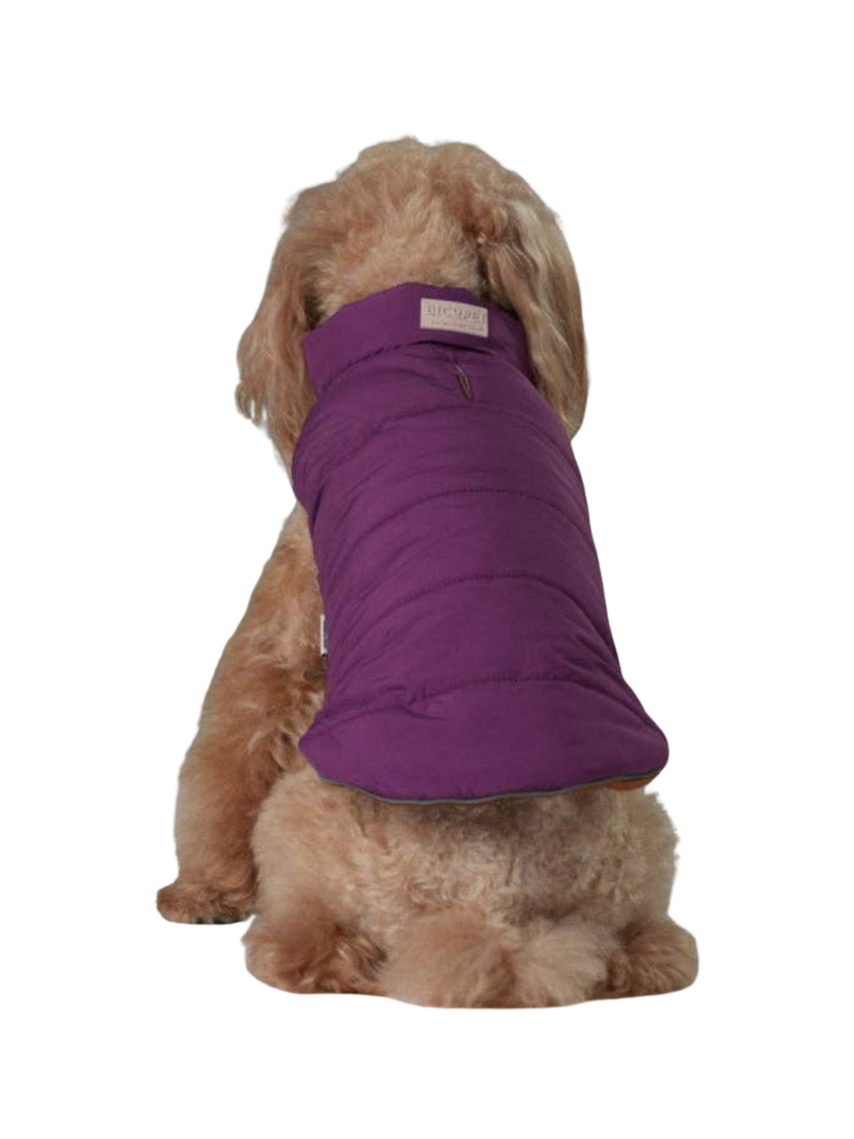 Reversible Dog Vest Jacket – Purple Caramel