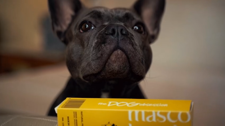 Natural Cream For Paws, Nose and Dry Areas